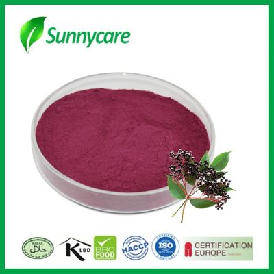 Elderberry Extract Juice Powder Sambucus nigra Gıda ve İçecekler İçin Doğal Renkleyici