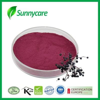 Zenci Elderberry Ekstraktı Tozu Sambucus nigra bağışıklık ve canlılık için